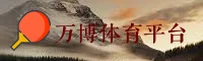 (推荐)万博体育全站app官方入口 - 2025新版
